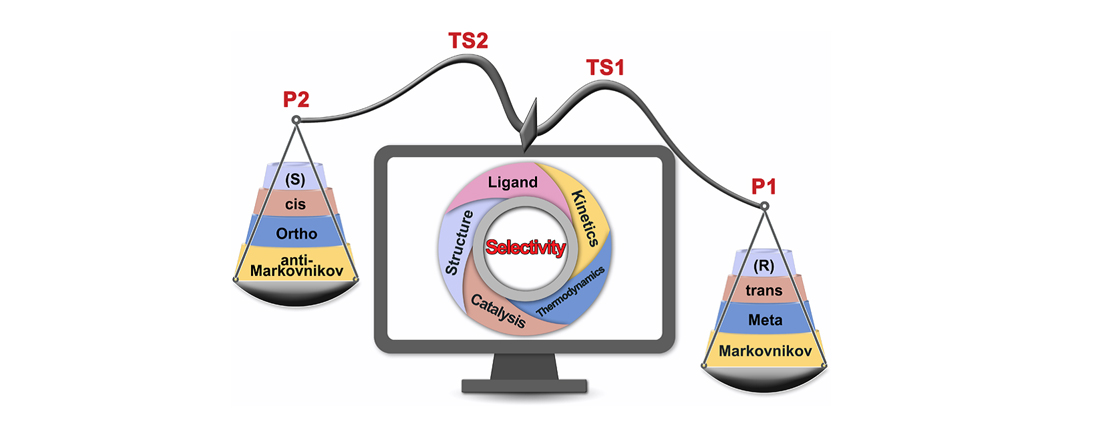 New Mechanistic Insights on the Selectivity of Transition-Metal-Catalyzed Organi